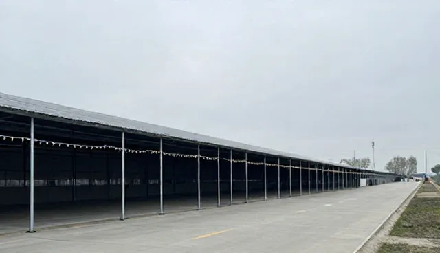 配送效率低下问题及库存管理优化方向